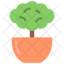 پیش‌نمایش فایل bush-plant-5411437 از پک گیاهان و گل‌ها