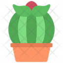 پیش‌نمایش فایل cactus-plant-5411440 از پک گیاهان و گل‌ها