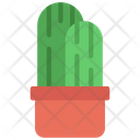 پیش‌نمایش فایل cactus-plant-5411455 از پک گیاهان و گل‌ها