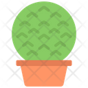 پیش‌نمایش فایل circle-plant-5411444 از پک گیاهان و گل‌ها
