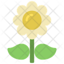 پیش‌نمایش فایل daisy-flower-5411450 از پک گیاهان و گل‌ها
