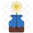 پیش‌نمایش فایل daisy-flower-pot-5411451 از پک گیاهان و گل‌ها