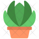 پیش‌نمایش فایل echeveria-plant-5411456 از پک گیاهان و گل‌ها