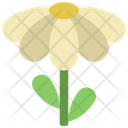 پیش‌نمایش فایل flower-5411457 از پک گیاهان و گل‌ها