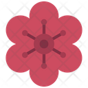 پیش‌نمایش فایل geranium-flower-5411463 از پک گیاهان و گل‌ها