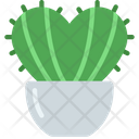 پیش‌نمایش فایل heart-cactus-plant-5411469 از پک گیاهان و گل‌ها
