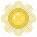 پیش‌نمایش فایل large-flower-5411471 از پک گیاهان و گل‌ها