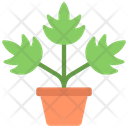 پیش‌نمایش فایل leaf-plant-5411472 از پک گیاهان و گل‌ها