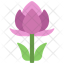 پیش‌نمایش فایل lotus-plant-5411474 از پک گیاهان و گل‌ها