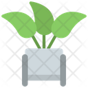 پیش‌نمایش فایل modern-plant-5411476 از پک گیاهان و گل‌ها