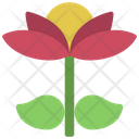 پیش‌نمایش فایل open-flower-5411479 از پک گیاهان و گل‌ها