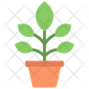 پیش‌نمایش فایل orchid-plant-5411481 از پک گیاهان و گل‌ها