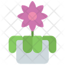 پیش‌نمایش فایل orchids-flower-5411482 از پک گیاهان و گل‌ها