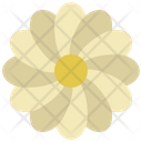 پیش‌نمایش فایل overlapping-flower-5411483 از پک گیاهان و گل‌ها