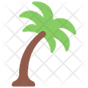 پیش‌نمایش فایل palm-tree-5411484 از پک گیاهان و گل‌ها