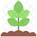 پیش‌نمایش فایل plant-5411488 از پک گیاهان و گل‌ها
