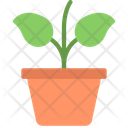 پیش‌نمایش فایل plant-pot-5411467 از پک گیاهان و گل‌ها