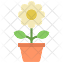 پیش‌نمایش فایل potted-plant-5411491 از پک گیاهان و گل‌ها