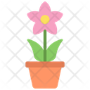 پیش‌نمایش فایل potted-plant-5411492 از پک گیاهان و گل‌ها