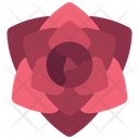 پیش‌نمایش فایل rose-flower-5411496 از پک گیاهان و گل‌ها