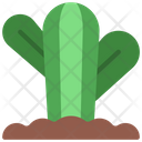 پیش‌نمایش فایل round-cactus-5411497 از پک گیاهان و گل‌ها
