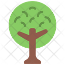 پیش‌نمایش فایل round-tree-5411498 از پک گیاهان و گل‌ها