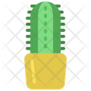 پیش‌نمایش فایل single-cactus-plant-5411500 از پک گیاهان و گل‌ها