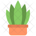 پیش‌نمایش فایل snake-plant-5411502 از پک گیاهان و گل‌ها