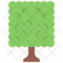 پیش‌نمایش فایل square-tree-5411503 از پک گیاهان و گل‌ها