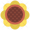 پیش‌نمایش فایل sunflower-5411504 از پک گیاهان و گل‌ها