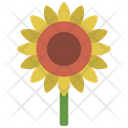 پیش‌نمایش فایل sunflower-5411505 از پک گیاهان و گل‌ها