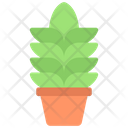 پیش‌نمایش فایل tall-plant-5411506 از پک گیاهان و گل‌ها