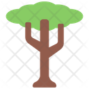 پیش‌نمایش فایل tall-tree-5411509 از پک گیاهان و گل‌ها