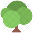 پیش‌نمایش فایل tree-5411478 از پک گیاهان و گل‌ها