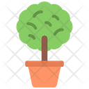 پیش‌نمایش فایل tree-plant-5411501 از پک گیاهان و گل‌ها