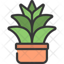 پیش‌نمایش فایل agave-plant-5411626 از پک گیاهان و گل‌ها