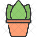 پیش‌نمایش فایل aglaonema-plant-5411627 از پک گیاهان و گل‌ها