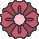 پیش‌نمایش فایل anemone-flower-5411628 از پک گیاهان و گل‌ها
