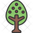 پیش‌نمایش فایل apple-tree-5411629 از پک گیاهان و گل‌ها