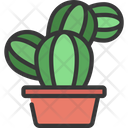 پیش‌نمایش فایل bunny-plant-5411635 از پک گیاهان و گل‌ها