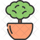 پیش‌نمایش فایل bush-plant-5411637 از پک گیاهان و گل‌ها