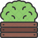 پیش‌نمایش فایل bushes-boxed-5411634 از پک گیاهان و گل‌ها