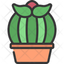 پیش‌نمایش فایل cactus-plant-5411640 از پک گیاهان و گل‌ها
