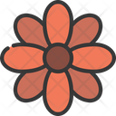 پیش‌نمایش فایل calendula-flower-5411641 از پک گیاهان و گل‌ها