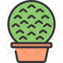 پیش‌نمایش فایل circle-plant-5411644 از پک گیاهان و گل‌ها