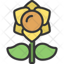 پیش‌نمایش فایل daffodil-flower-5411648 از پک گیاهان و گل‌ها