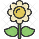 پیش‌نمایش فایل daisy-flower-5411650 از پک گیاهان و گل‌ها