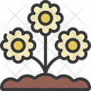 پیش‌نمایش فایل daisys-flower-5411653 از پک گیاهان و گل‌ها
