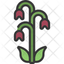 پیش‌نمایش فایل dead-flower-5411654 از پک گیاهان و گل‌ها