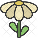 پیش‌نمایش فایل flower-5411657 از پک گیاهان و گل‌ها
